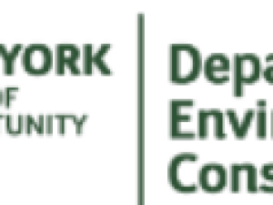 NY State DEC logo